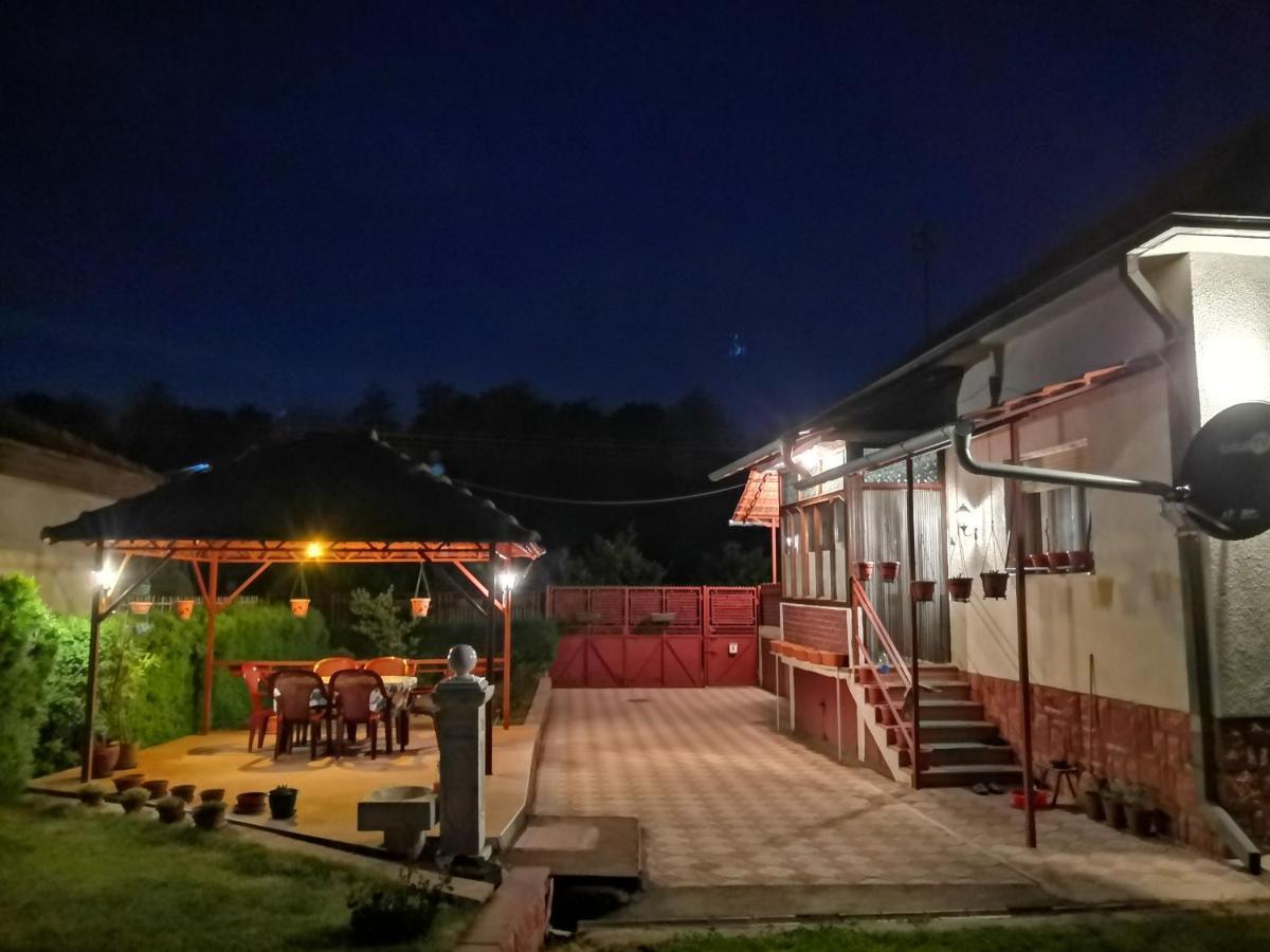 Ferienwohnung Kuca Mijalkovic Pirot Exterior foto