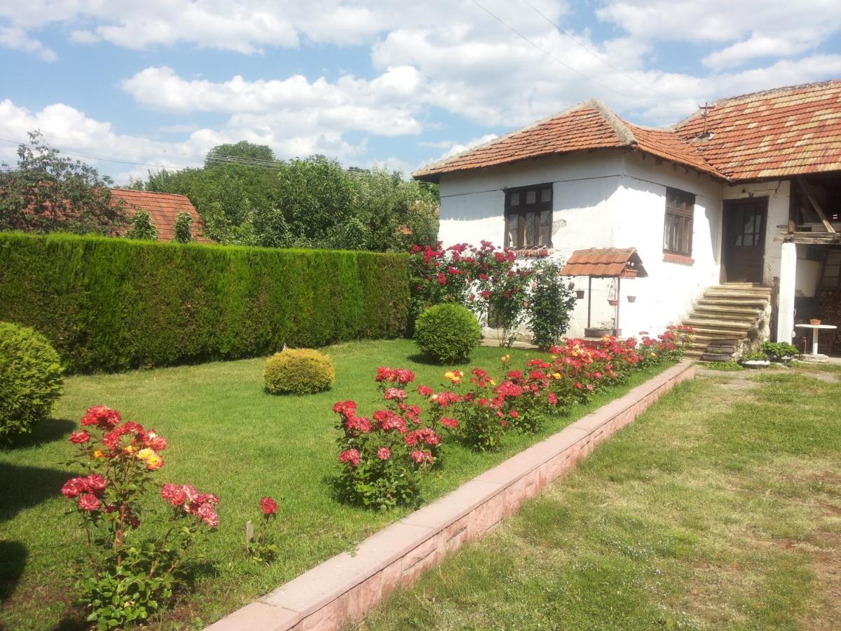 Ferienwohnung Kuca Mijalkovic Pirot Exterior foto