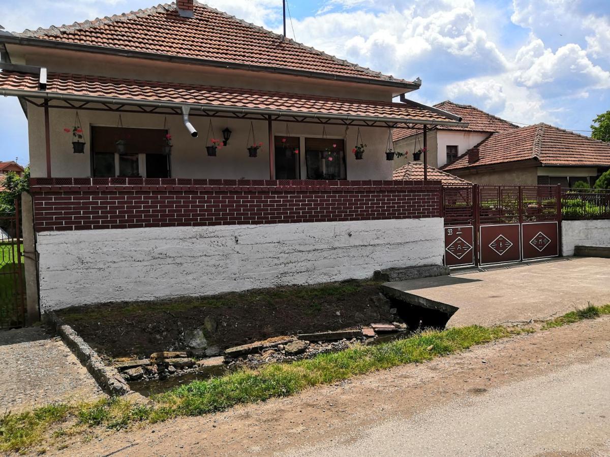 Ferienwohnung Kuca Mijalkovic Pirot Exterior foto